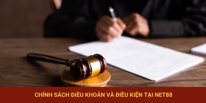 điều khoản điều kiện Tại sao Điều Khoản Điều Kiện Quan Trọng Khi Chơi Tại Net88?